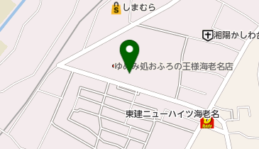 王寿庵 海老名店の地図画像