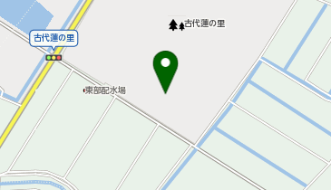 古代蓮 うどん店の地図画像
