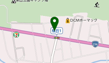 earthの地図画像