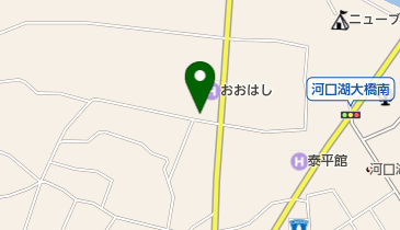 DINO DINERの地図画像