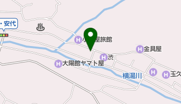 海鮮和食 金新の地図画像