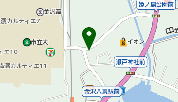 FRYING FISHの地図画像