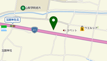 BRAND NEW DAY 甲府イースト店の地図画像