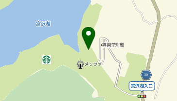 スターバックスコーヒー 飯能メッツァビレッジ店の地図画像
