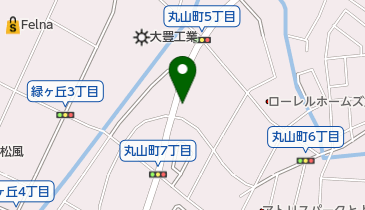 インド料理 ガンダァーラ 豊田店の地図画像