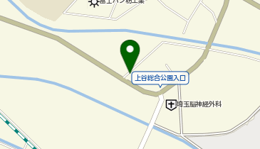 ねぎ餃子鴻巣上谷店の地図画像