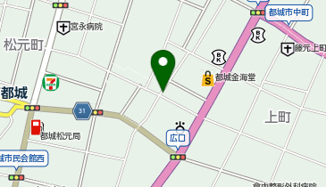 わしの脇腹の地図画像