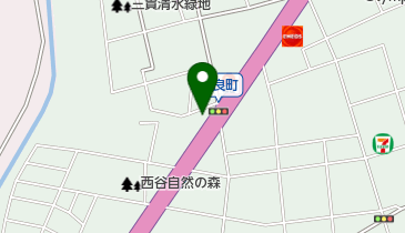 丸源ラーメン (大宮バイバス宮原店)の地図画像