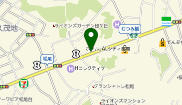 純血統うるまアグーしゃぶしゃぶ金とん 国際通り店の地図画像