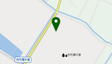古代蓮の里(行田タワー)BBQ太郎パークの地図画像