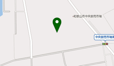 新わかやまスタミナラーメンの地図画像