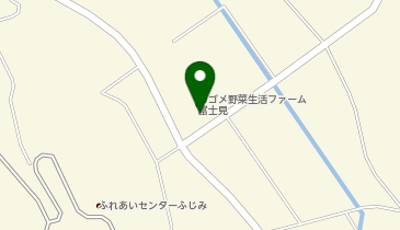 IL FAGGIOの地図画像