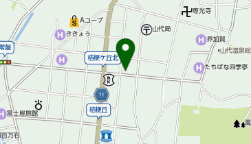 チキン堂の地図画像