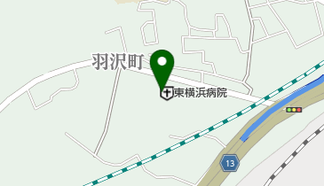 脳神経外科 東横浜病院の地図画像