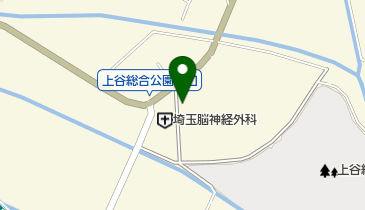 埼玉脳神経外科病院の地図画像