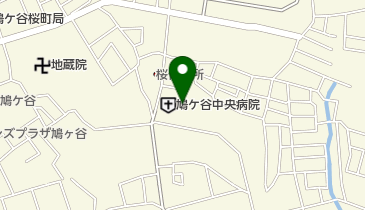 鳩ヶ谷中央病院の地図画像