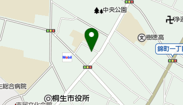 大和病院の地図画像