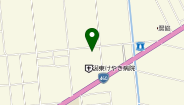 潟東けやき病院の地図画像