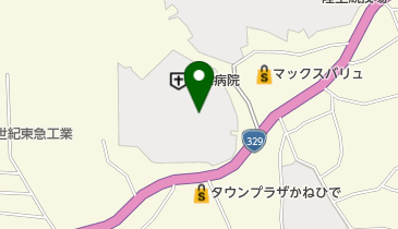 国立病院機構 琉球病院の地図画像