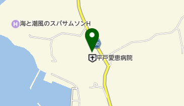平戸愛恵病院の地図画像