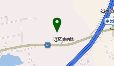 乙金病院の地図画像