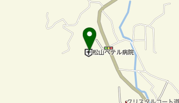 松山ベテル病院の地図画像