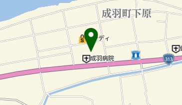 高梁市国民健康保険 成羽病院の地図画像