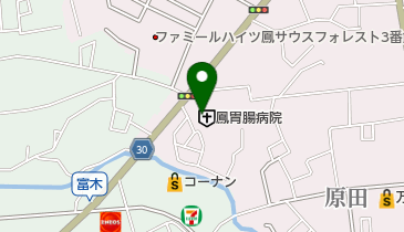 鳳胃腸病院の地図画像