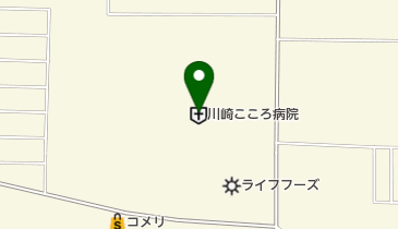 川崎こころ病院の地図画像