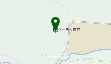 てんかん病院ベーテルの地図画像