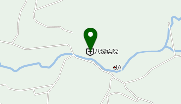 八媛病院の地図画像
