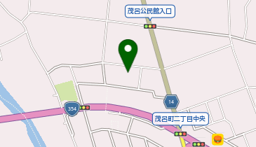 新生産婦人科医院の地図画像
