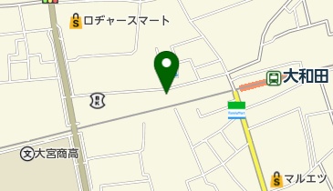 大和田整形外科の地図画像