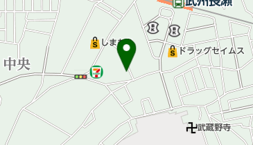 柴崎皮膚科医院の地図画像