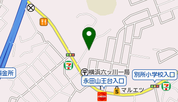 六ツ川加藤整形外科の地図画像