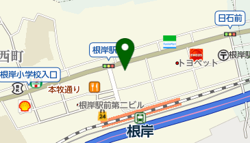 根岸整形外科の地図画像