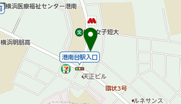 堀内整形外科の地図画像
