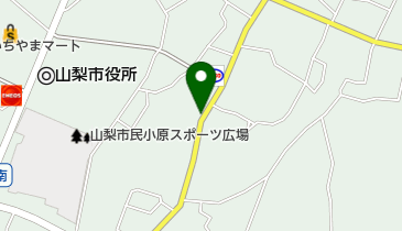 飯島医院の地図画像