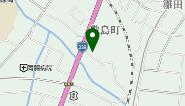 川崎胃腸科内科医院の地図画像