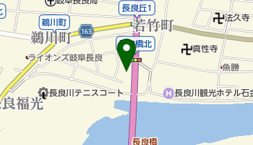 長良皮膚科の地図画像