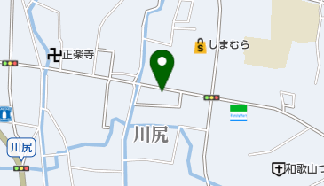 稲田皮膚科の地図画像