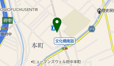 府中水野皮ふ科クリニックの地図画像