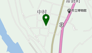 澤井耳鼻咽喉科気管食道科の地図画像