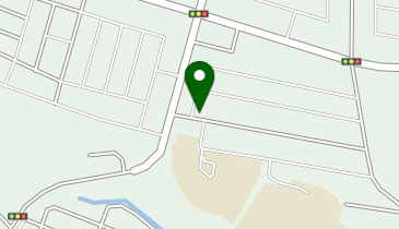 塩沢消化器内科の地図画像