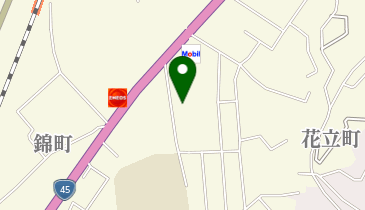 遠藤レディスクリニックの地図画像