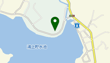 森の木脳神経脊髄外科の地図画像