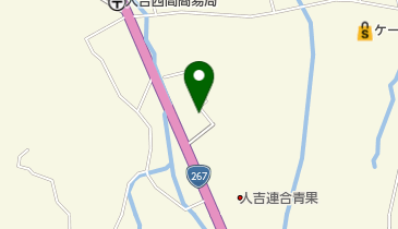 人吉皮膚科医院の地図画像