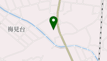 斉藤内科・消化器科医院の地図画像