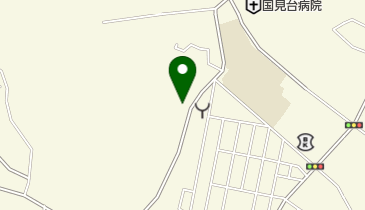 くにみ整形外科クリニックの地図画像