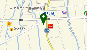 橋壁皮膚科の地図画像